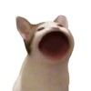 秀来电